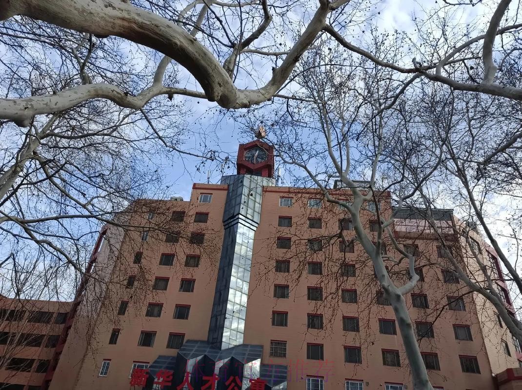 淄博逆转北理工 沈阳城市建设六球大捷登上北区榜首